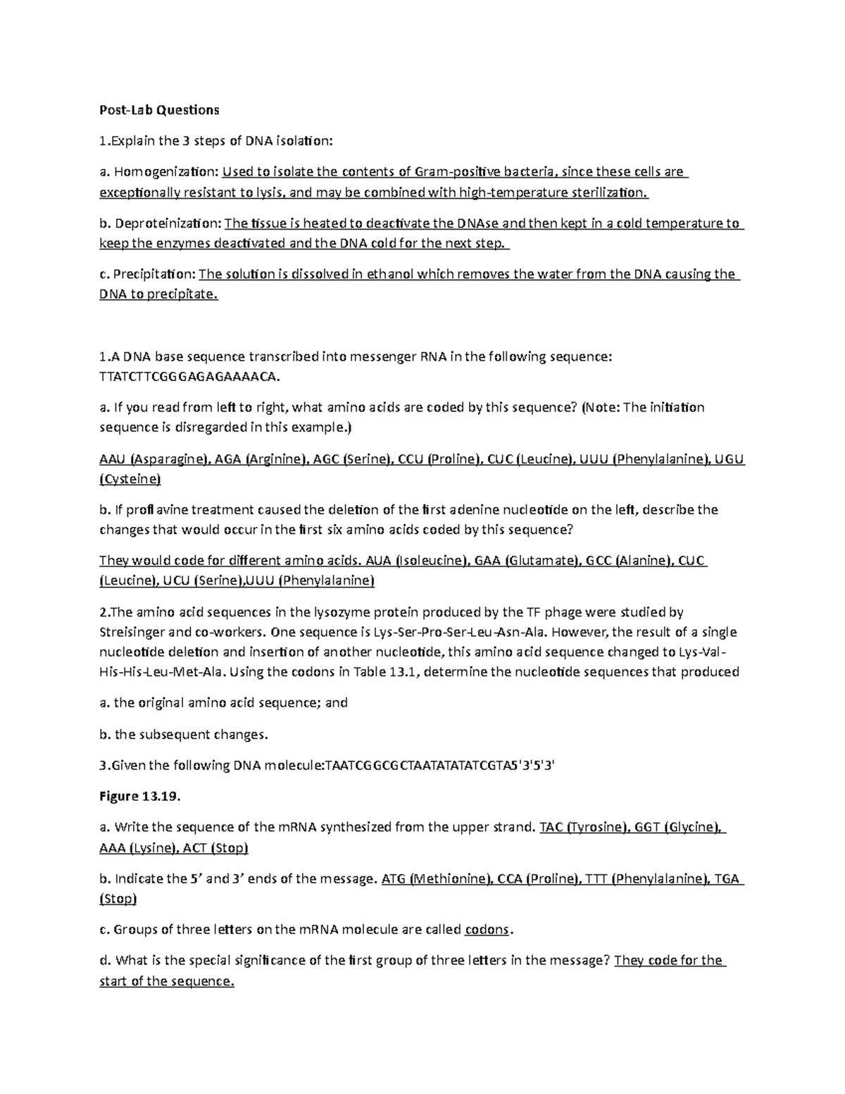Bio 101: Homework 8 - DNA Isolation and Protein Synthesis Questions ...