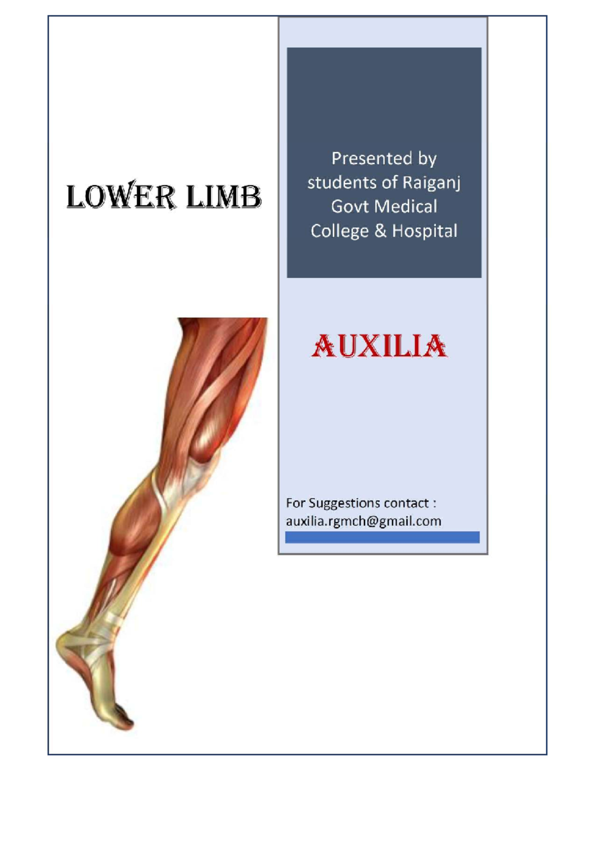 Lower Limb Anatomy Notes - Raiganj Govt Medical College (AUXILIA) - Studocu