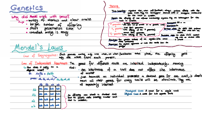 Genetics and Ecology Concepts: Bio S2W2 2 - Biyo Notes - Studocu