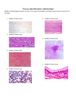 Chapter 3- Cells :: Anatomy Concepts - Chapter 3: Cells // Anatomy ...
