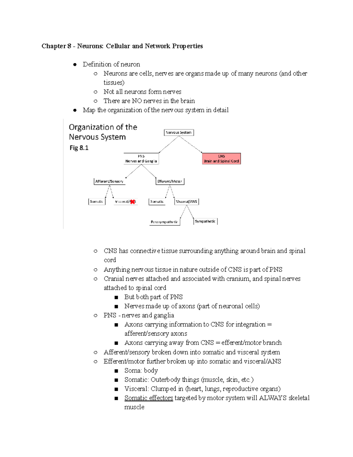Exam 2 Notes - BSC4936: Neurons and Nervous System Overview - Studocu