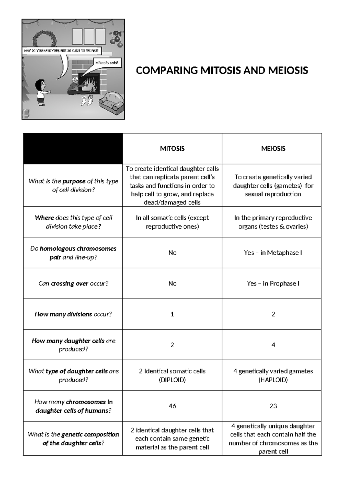 Mitosis vs Meiosis: A Comparison Table of Cell Division Types - Studocu
