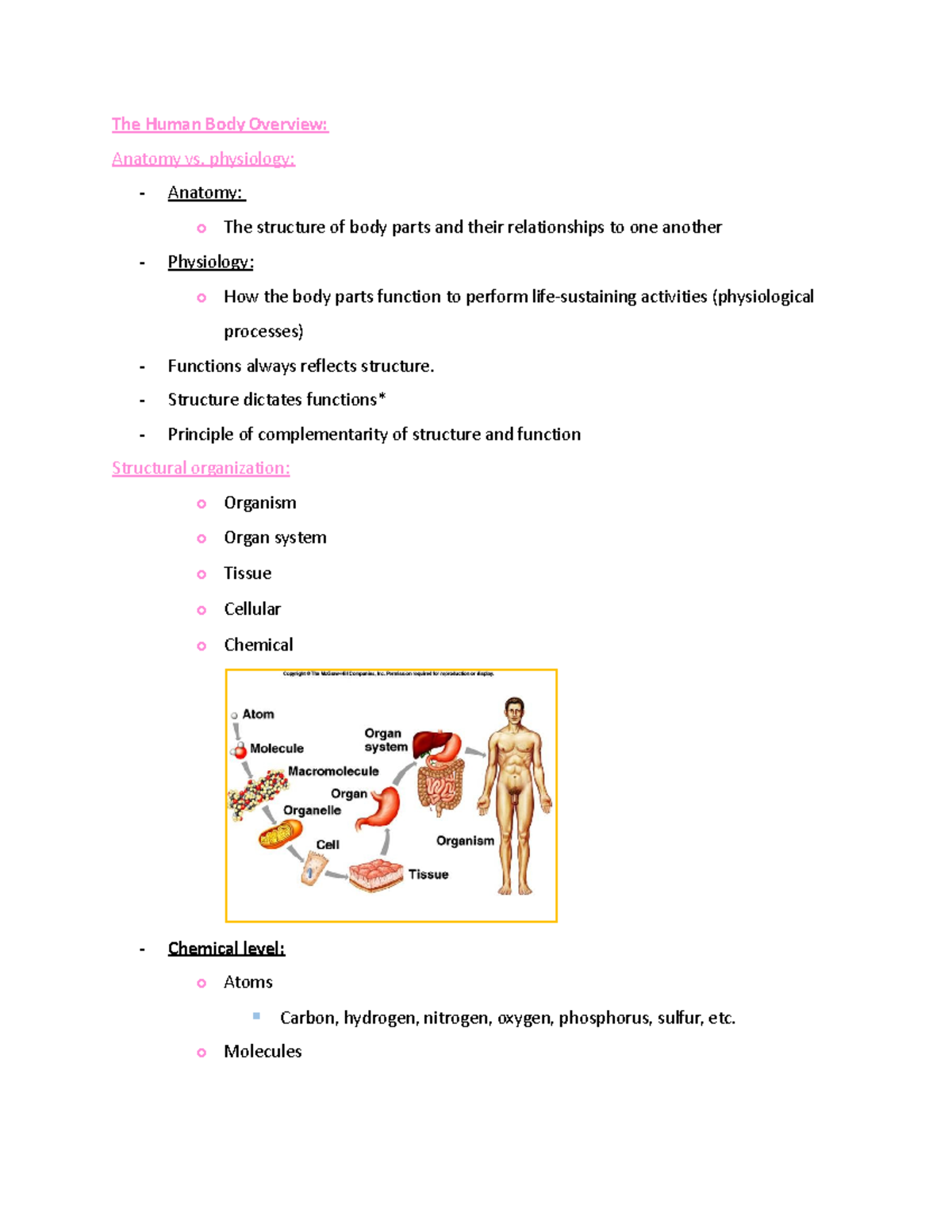 KNR 181 Lecture Notes: Human Body Overview and Anatomy Basics - Studocu