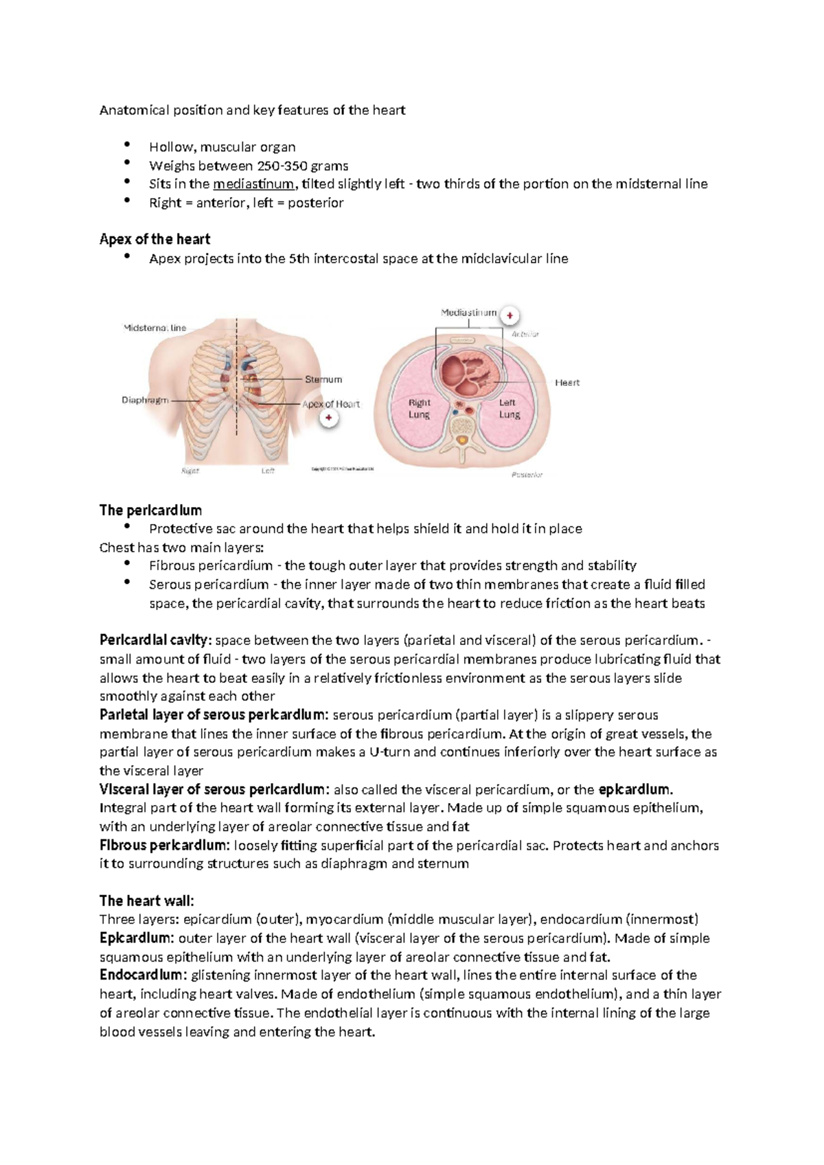 Cardiovascular System Notes: Anatomy and Function of the Heart - Studocu