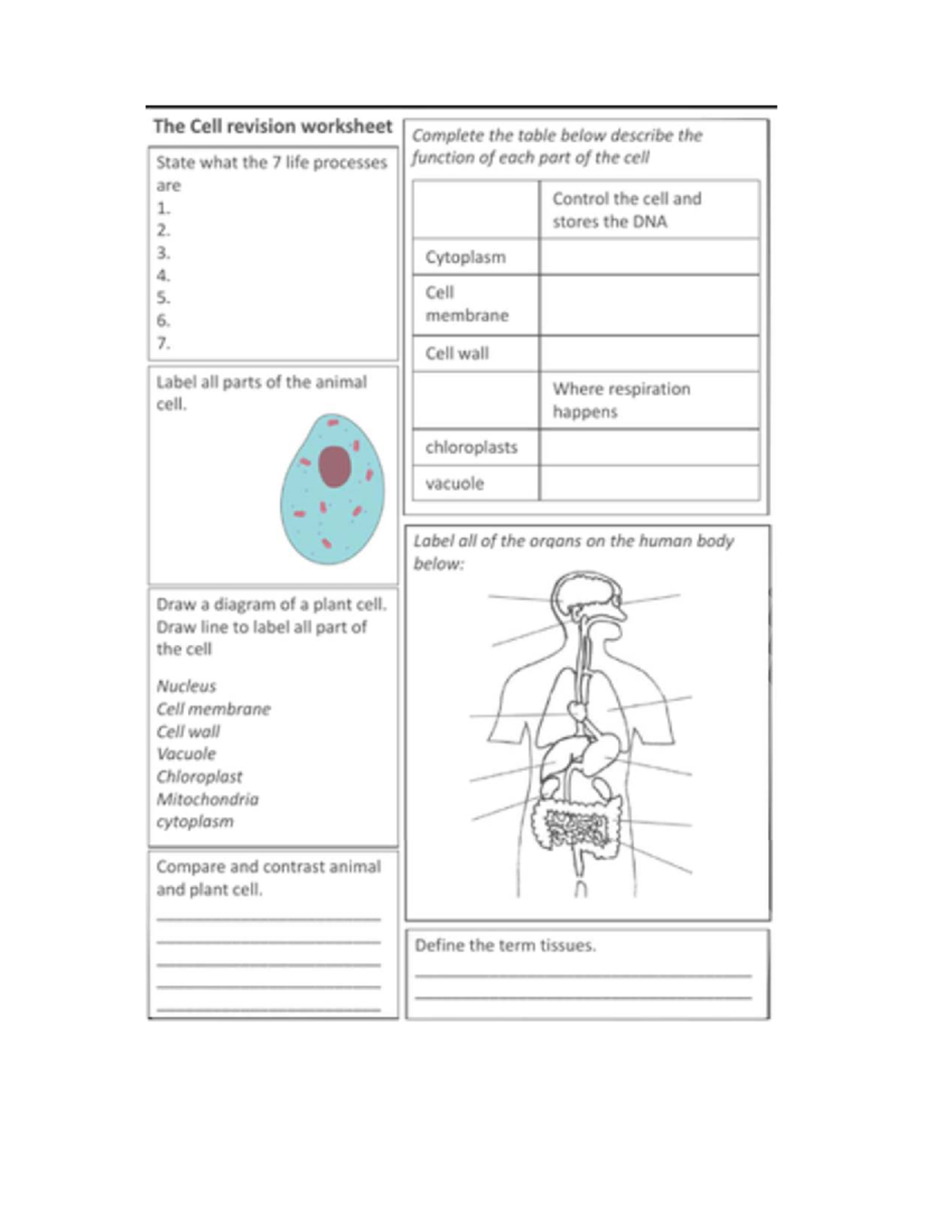 Cell Revision Worksheet: Functions & Structures of Cells - Studocu