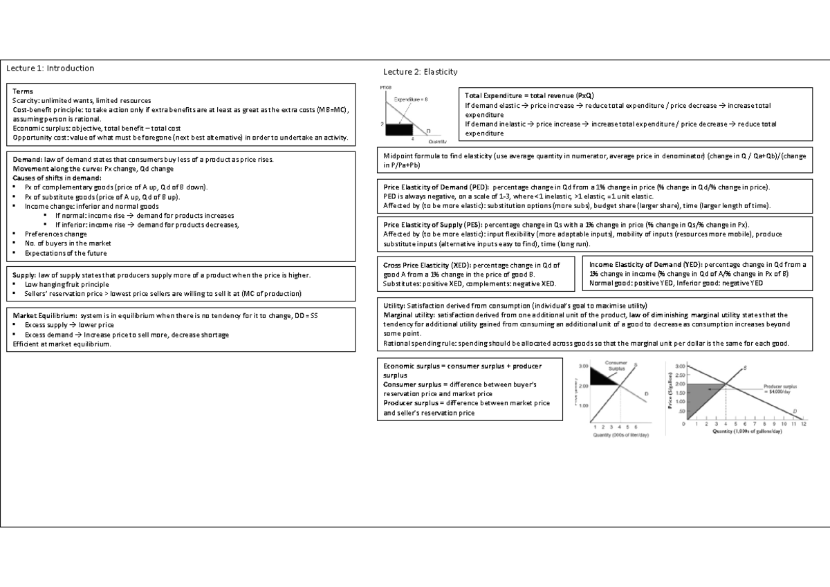 Econs 101 Lecture Notes Summary: Key Concepts and Insights - Studocu