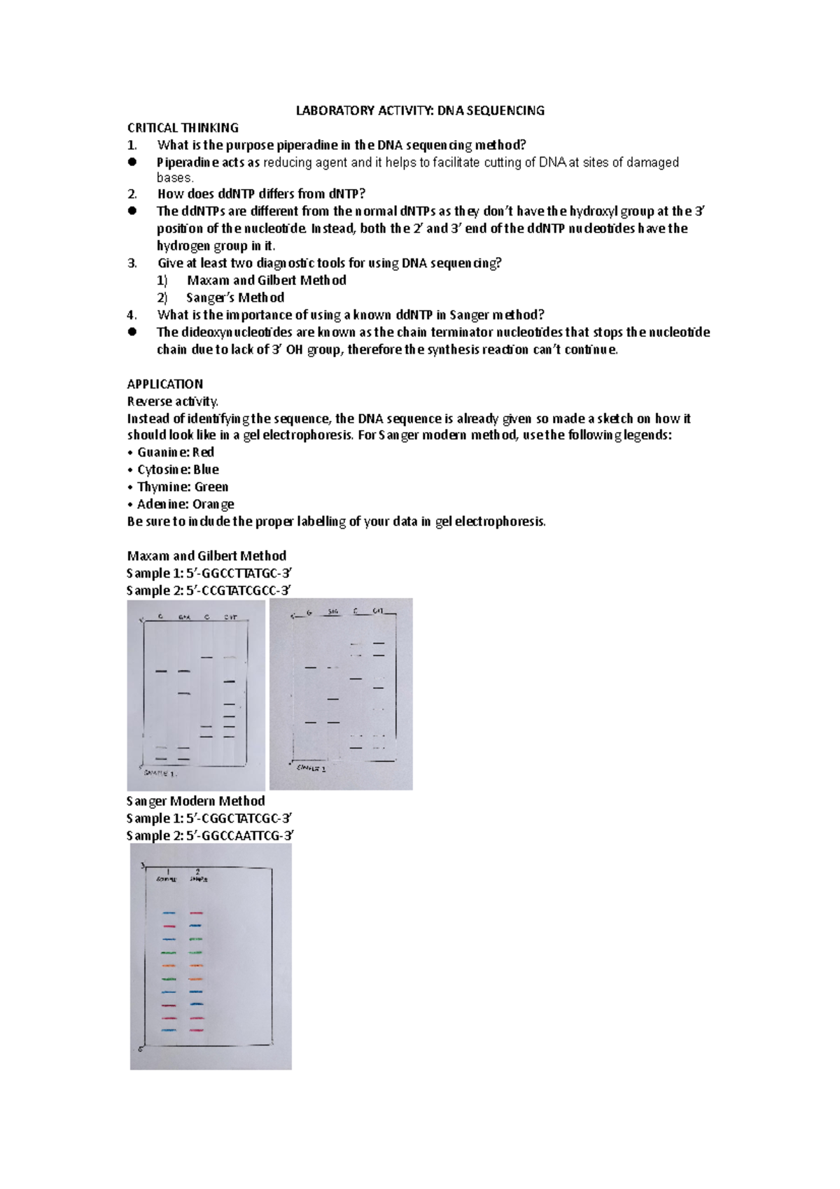 Laboratory Activity: DNA Sequencing Insights and Applications - Studocu