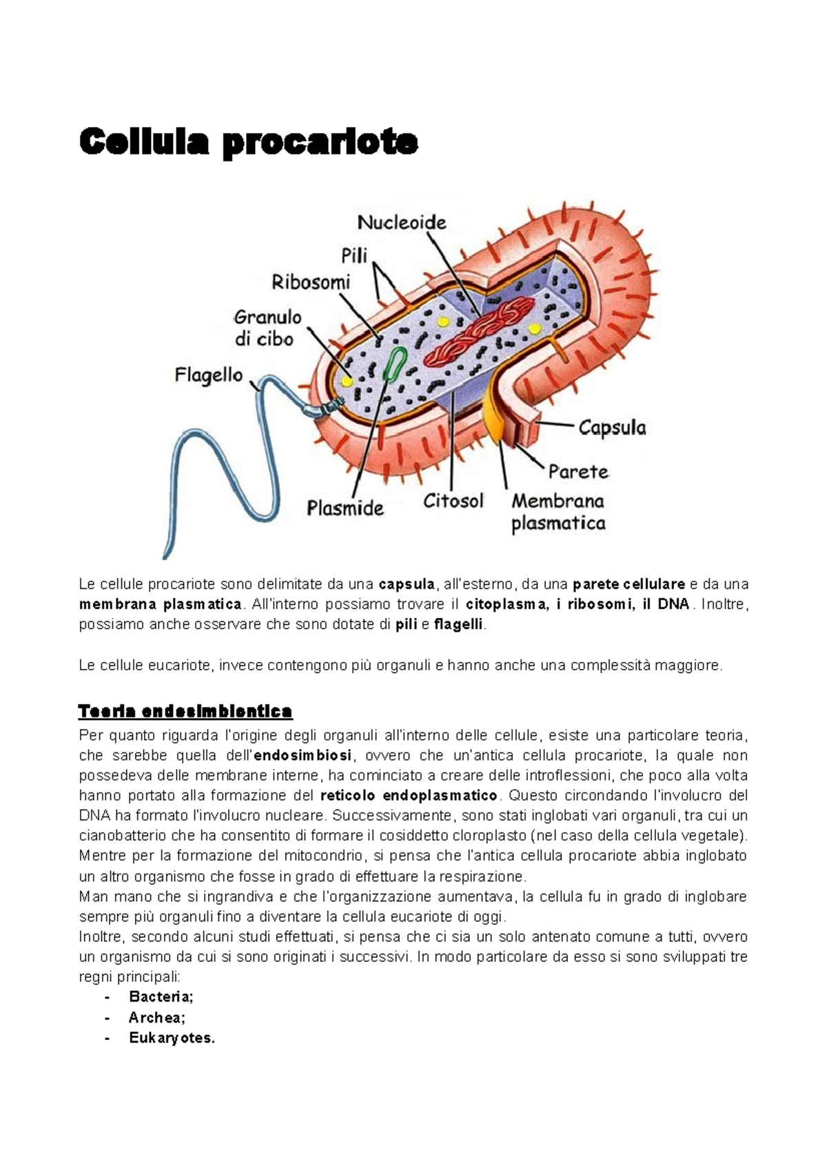 Cellula eucariote e procariote - Appunti di lezione 2 - Studocu