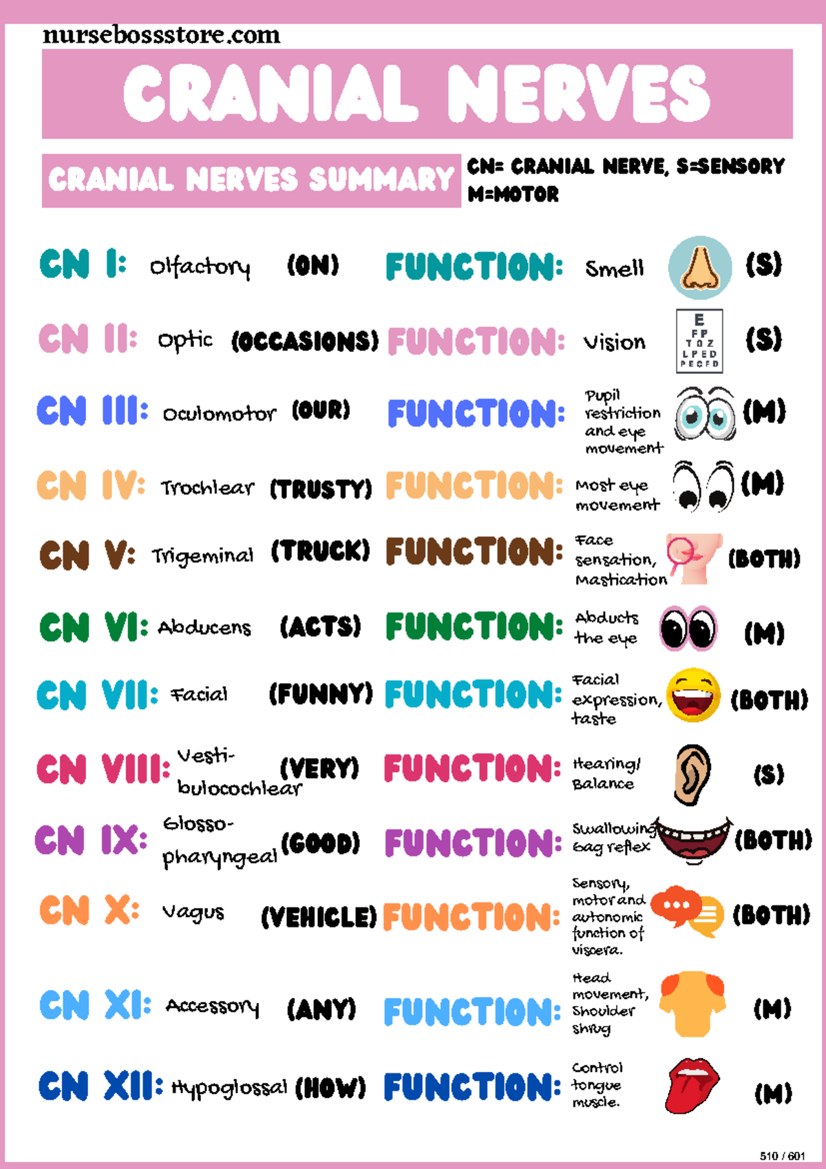 Cranial Nerves Mnemonic Motor Sensory Receptors Quiz - Infoupdate.org