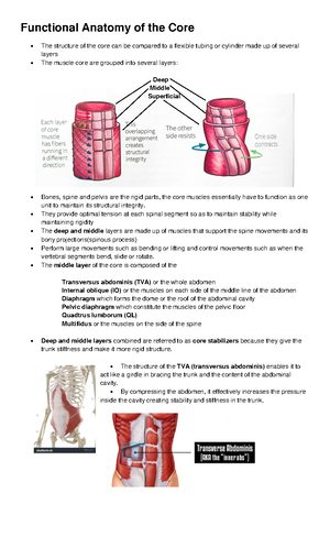 Live Discharge Toolkit - Understanding and Managing Live Patient ...