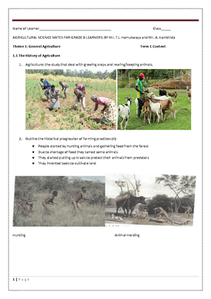 [Solved] Explain the Triffin dilemma - International Finance for ...