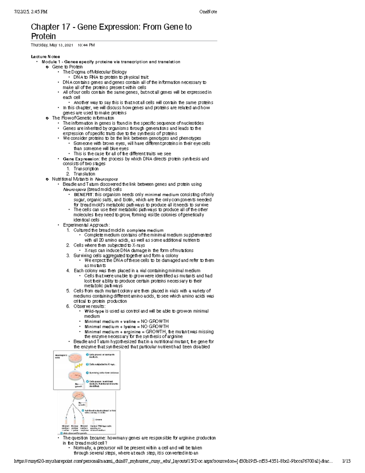 Chapter 17: Gene Expression - From Gene to Protein (Lecture Notes ...