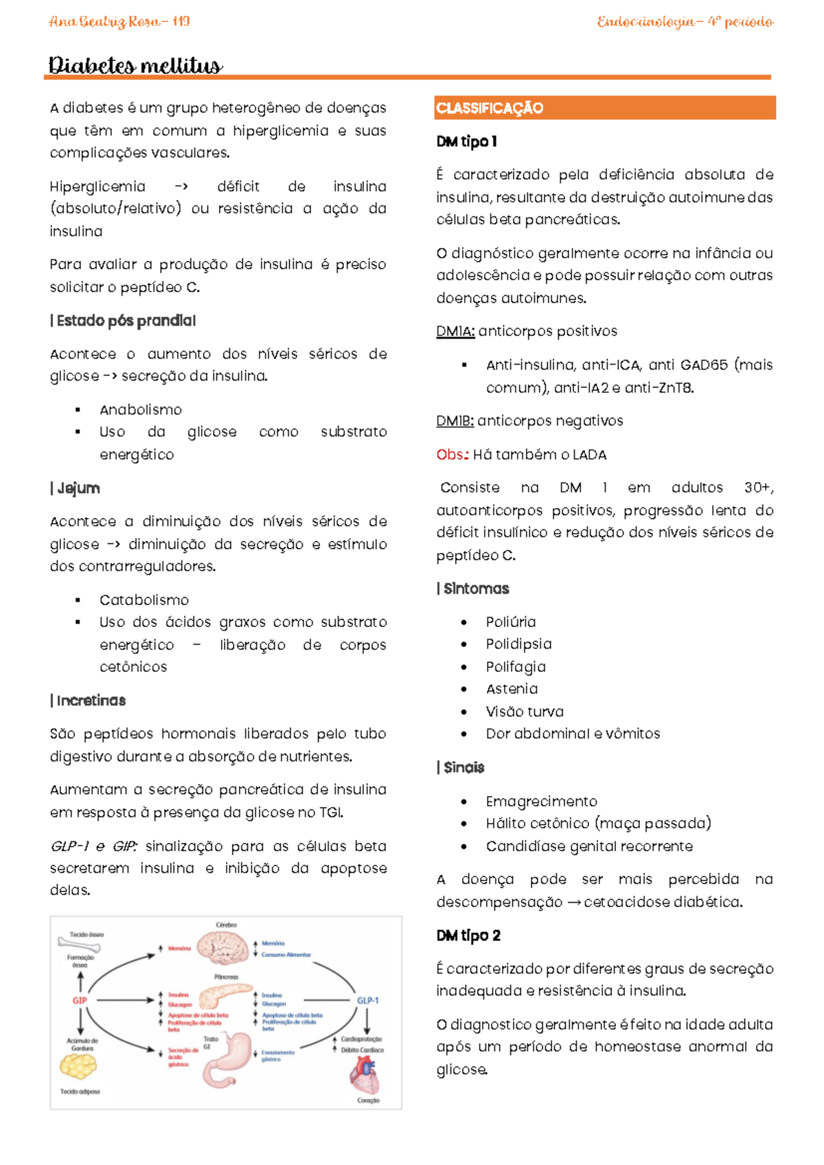 Diabetes Mellitus: Classificação, Diagnóstico e Tratamento - Lkkkl ...