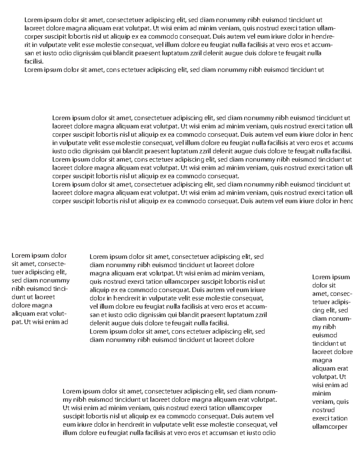 Document 1224 - Essay Notes on Lorem Ipsum Text Analysis - Studocu