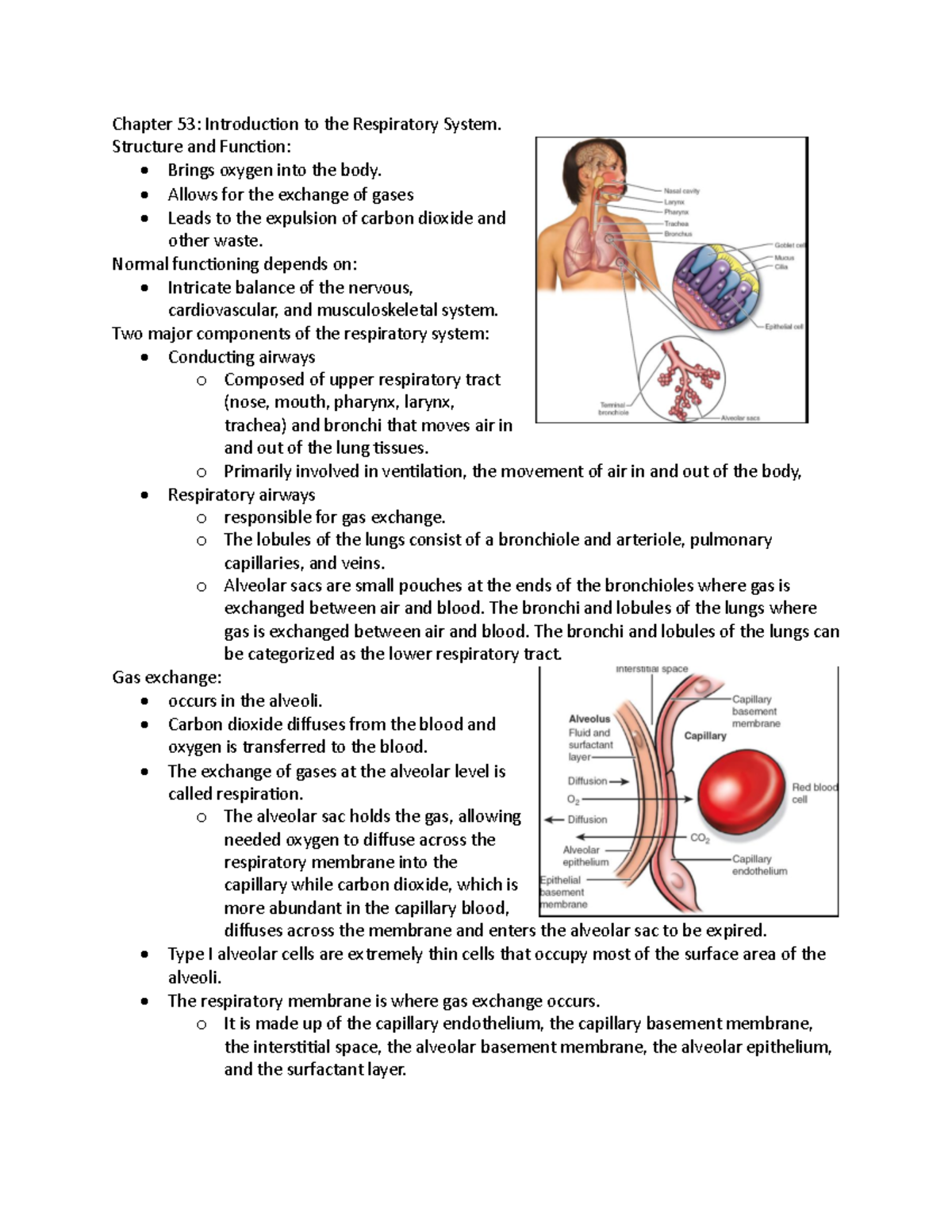 Exam 4 Study Guide: CH 53-54 - The Respiratory System and Treatments ...