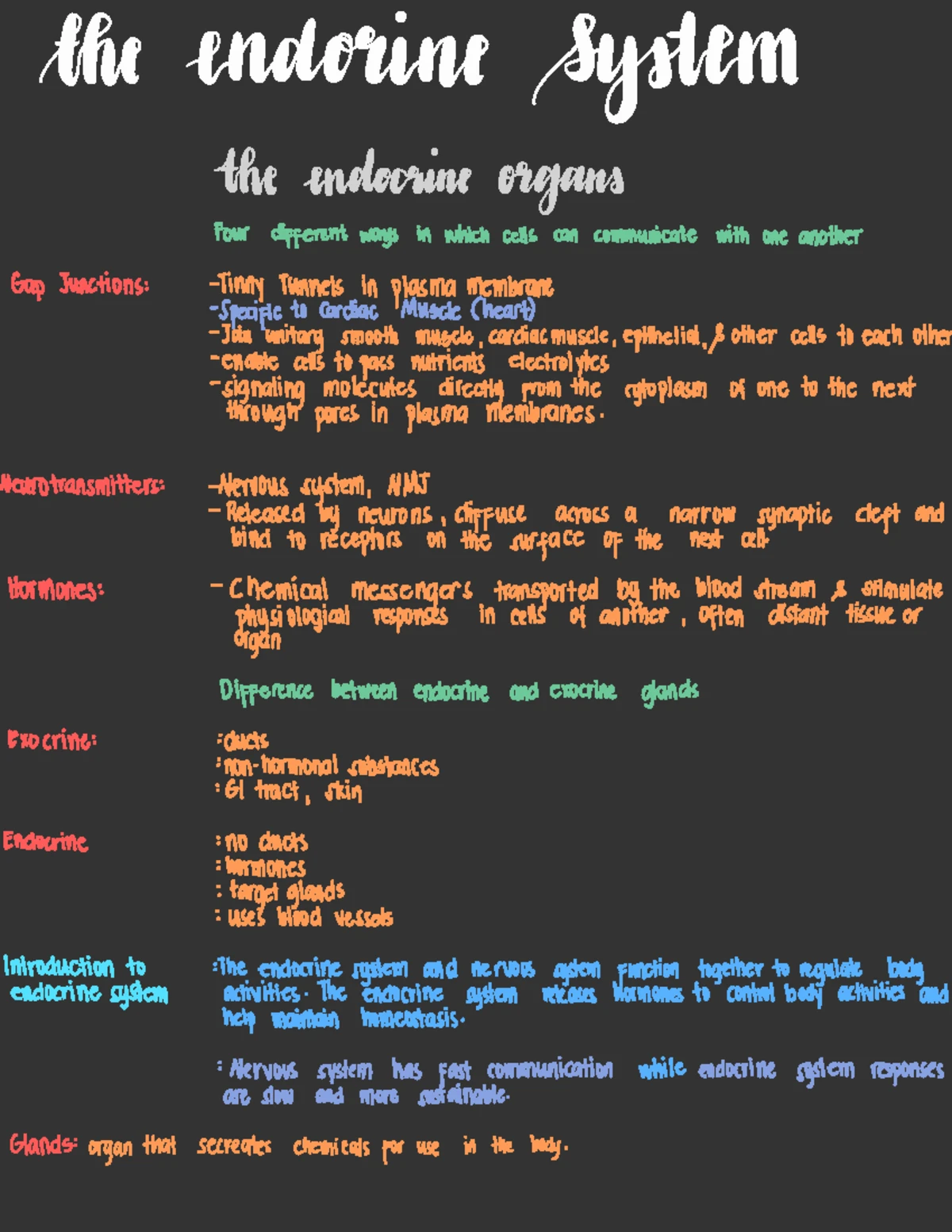Endocrine Physiology Lecture Notes: PGY 412G S2025 Overview & Key ...