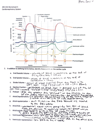 [Solved] How does gas exchange occur at the alveoli What are the PPO2 ...