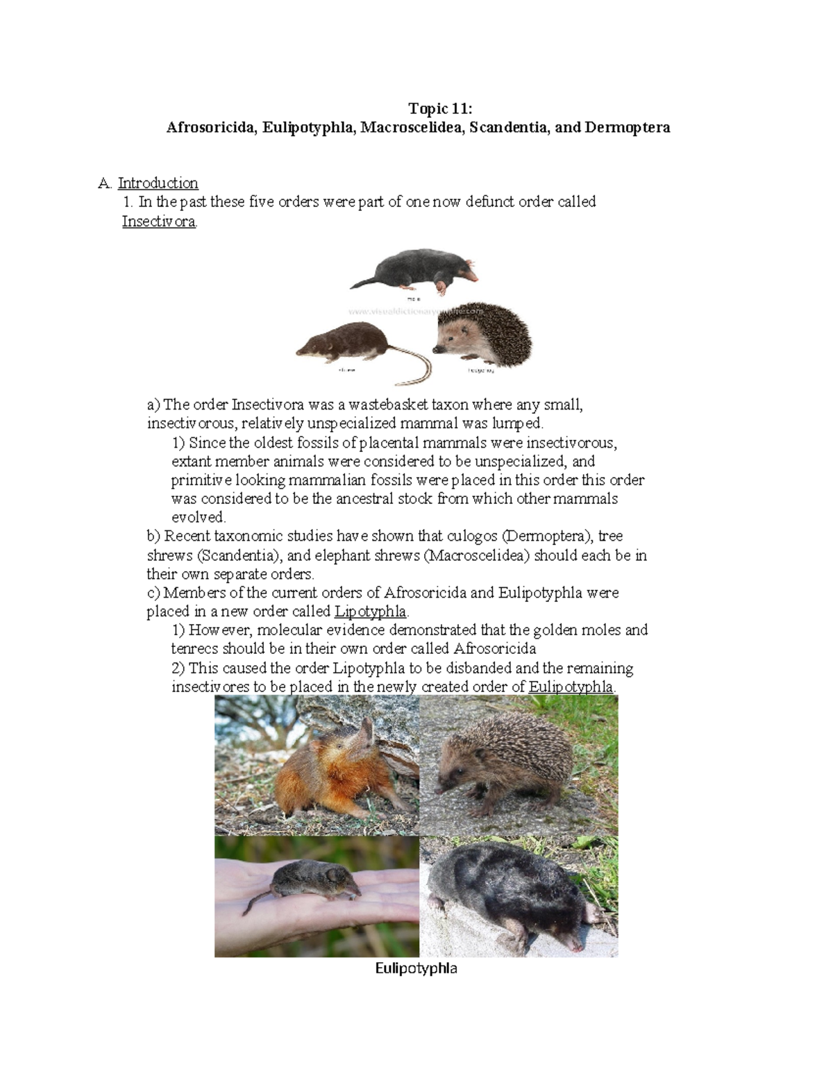 Taxonomy and Overview of Insectivorous Mammals (Biology 101) - Studocu