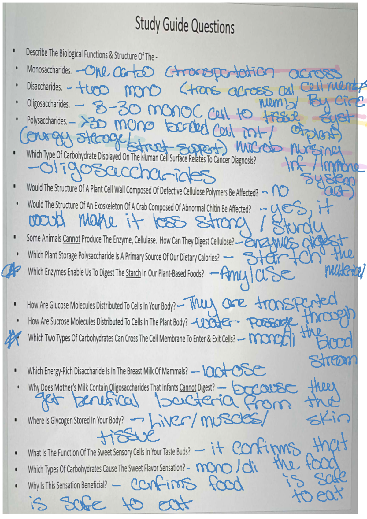 Final Exam Study Notes for Course XYZ 101: Carbohydrates & Proteins ...