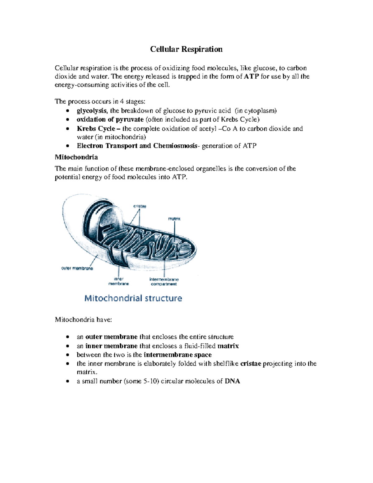 02c Supplementary Notes on Cellular Respiration & Krebs Cycle - Studocu