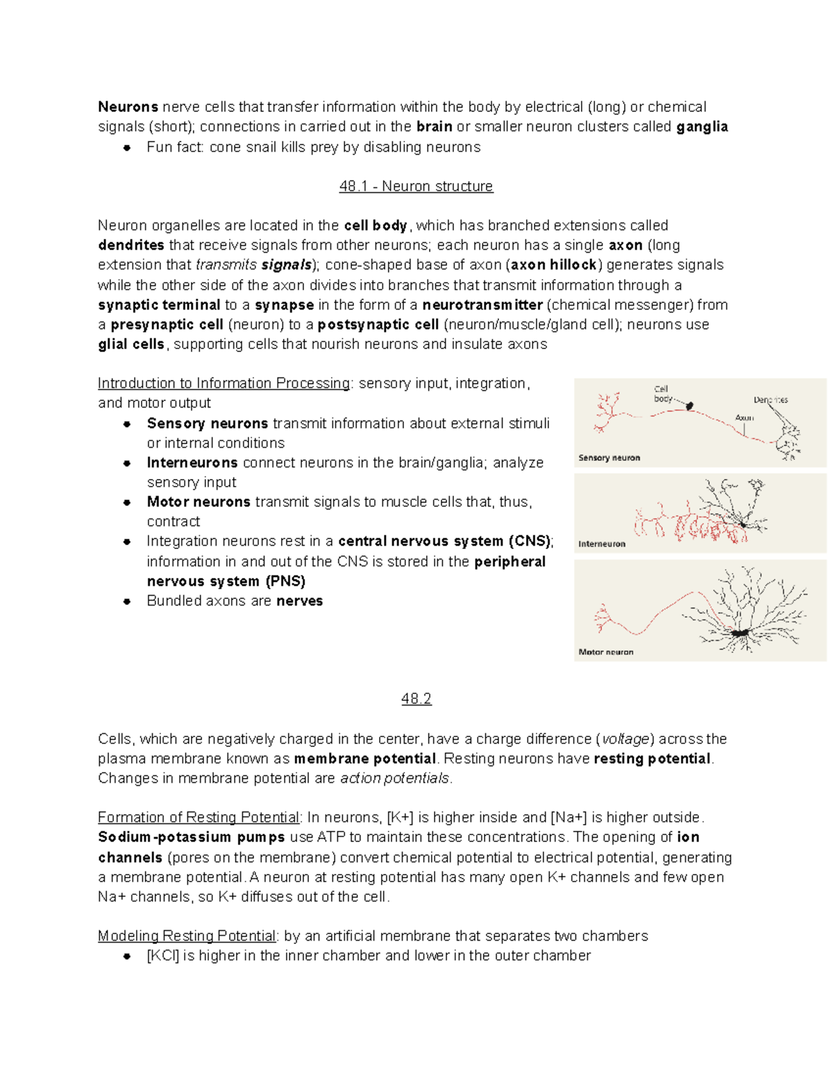 Chapter 48 - Neuron Function and Information Processing Notes - Studocu