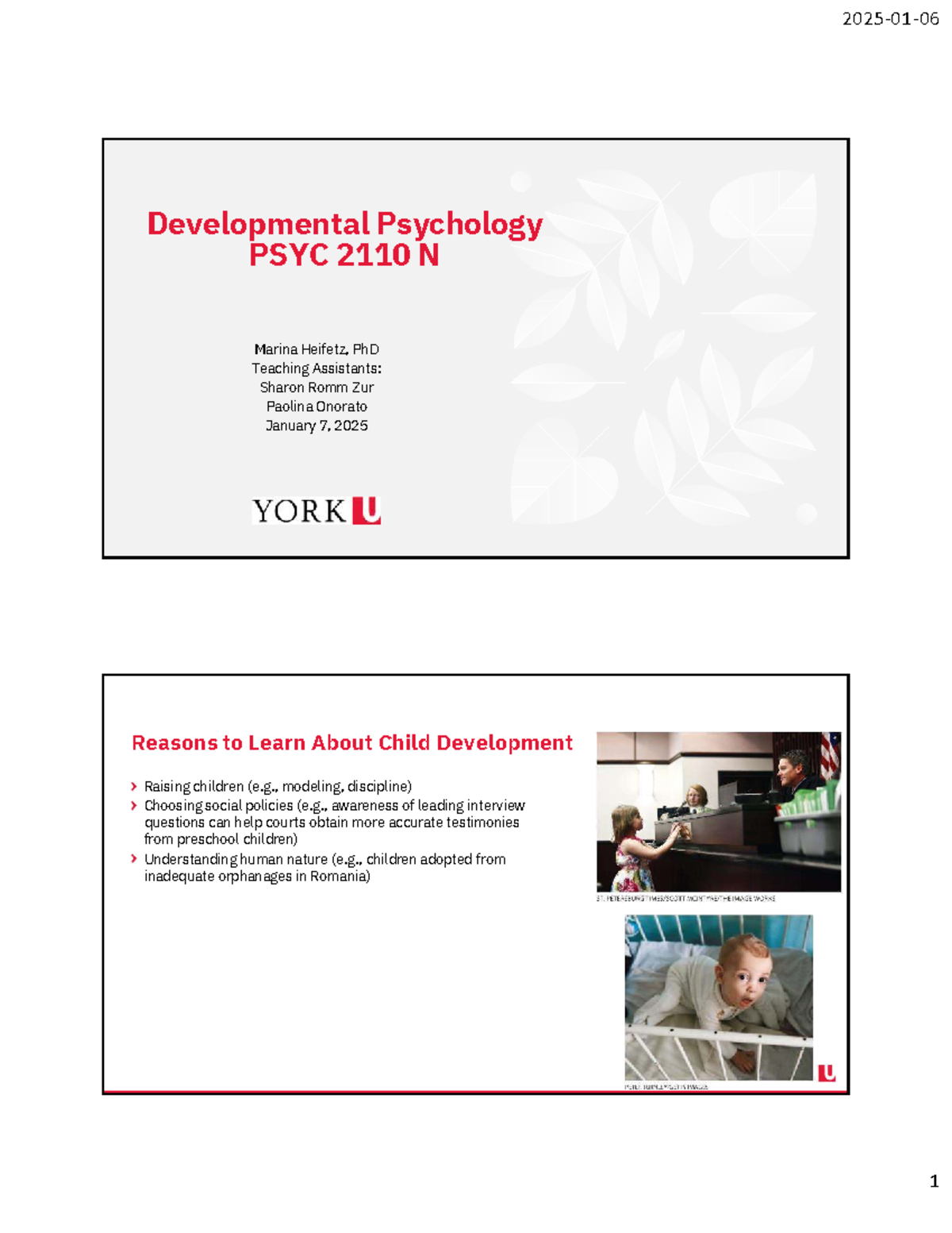 Developmental Psychology PSYC 2110 N Lecture 1: Understanding Child ...
