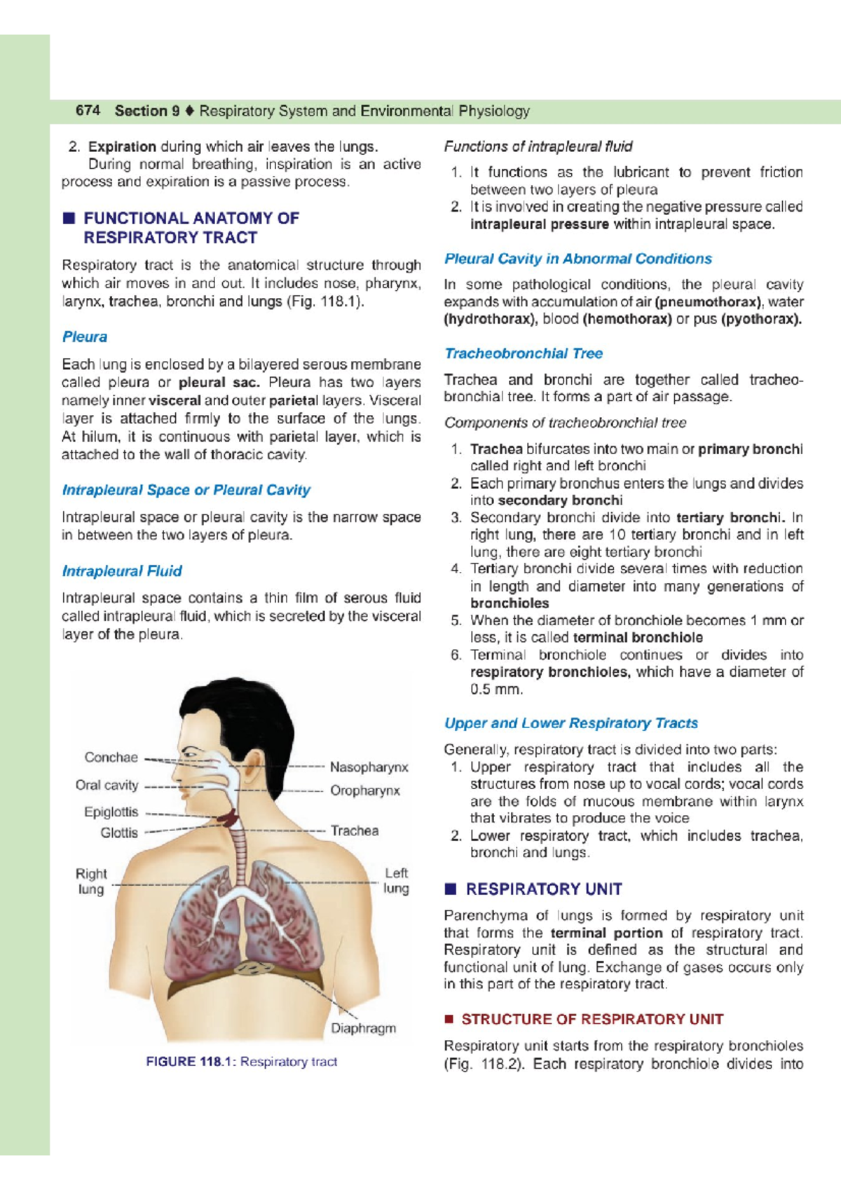 Respiratory System and Environmental Physiology (Respo 2) - Class Test ...