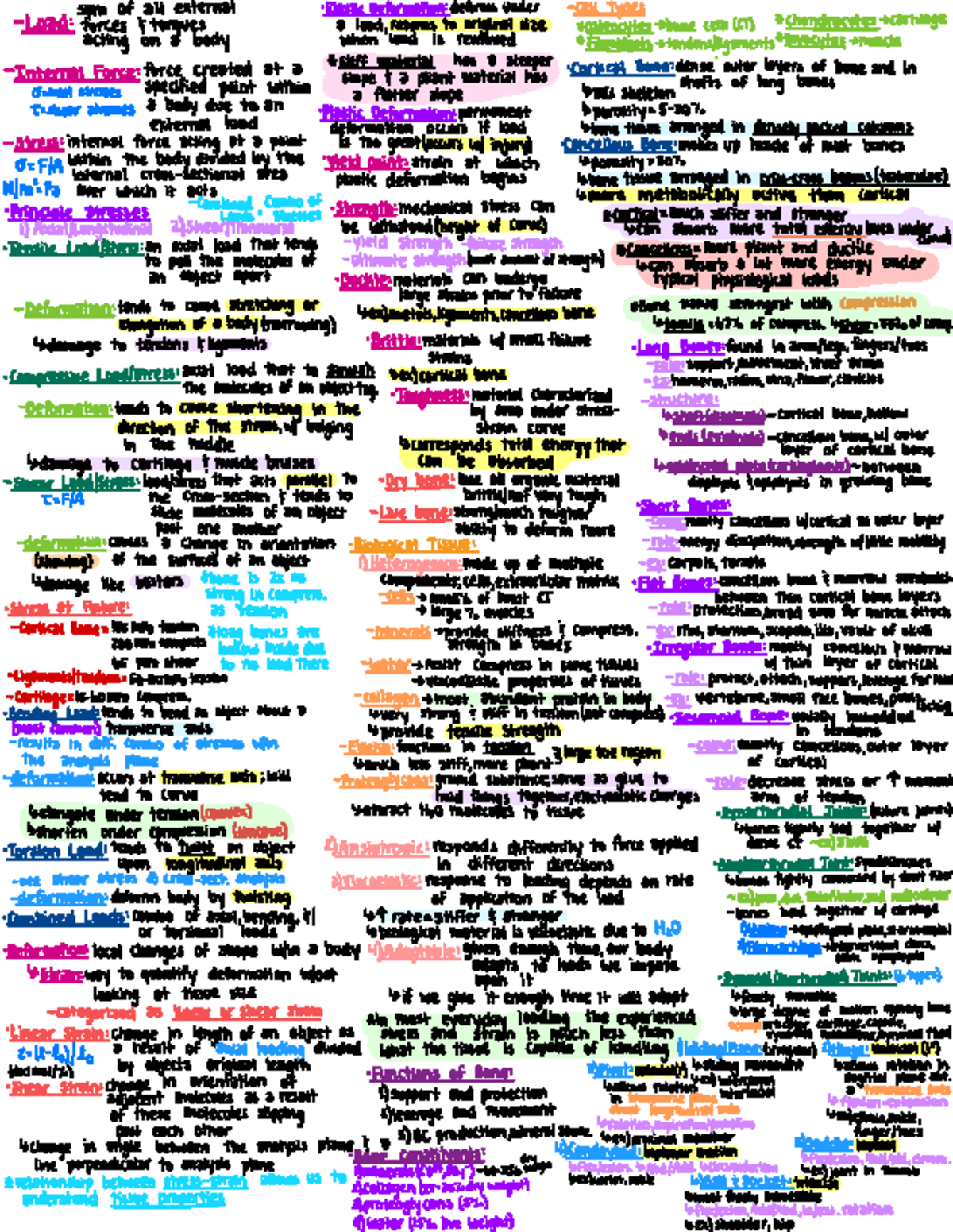 Cheat sheet for exam 3: understanding bone structure and joints - Studocu