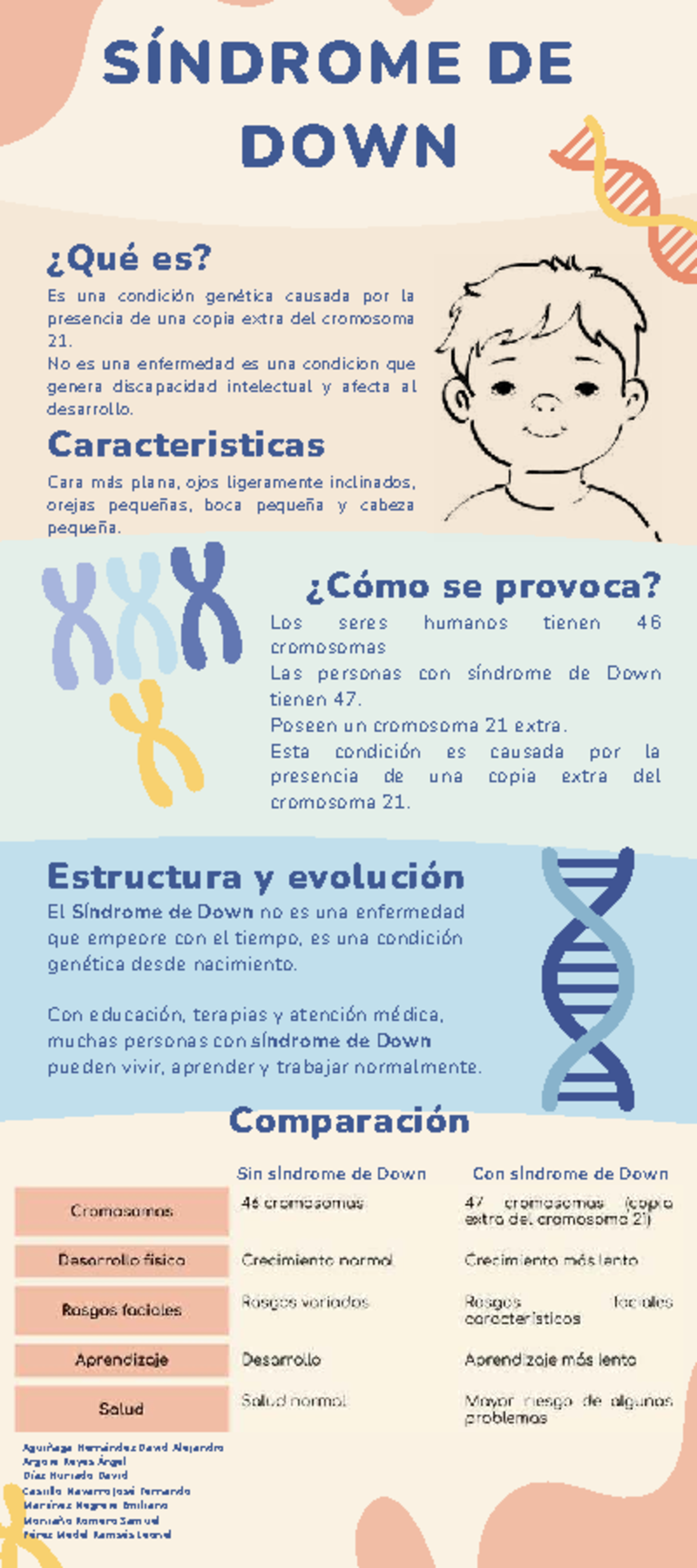 Infografía sobre el Síndrome de Down: Características y Causas - Studocu