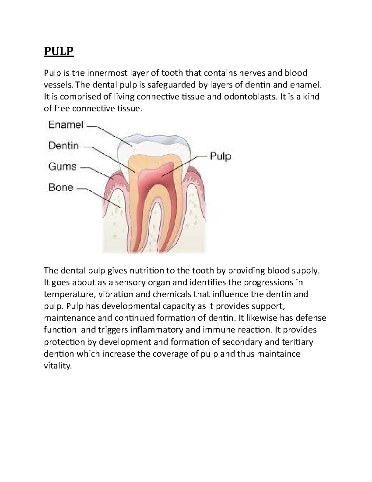 Stages OF Gingival Inflammation - STAGES OF GINGIVAL INFLAMMATION The ...