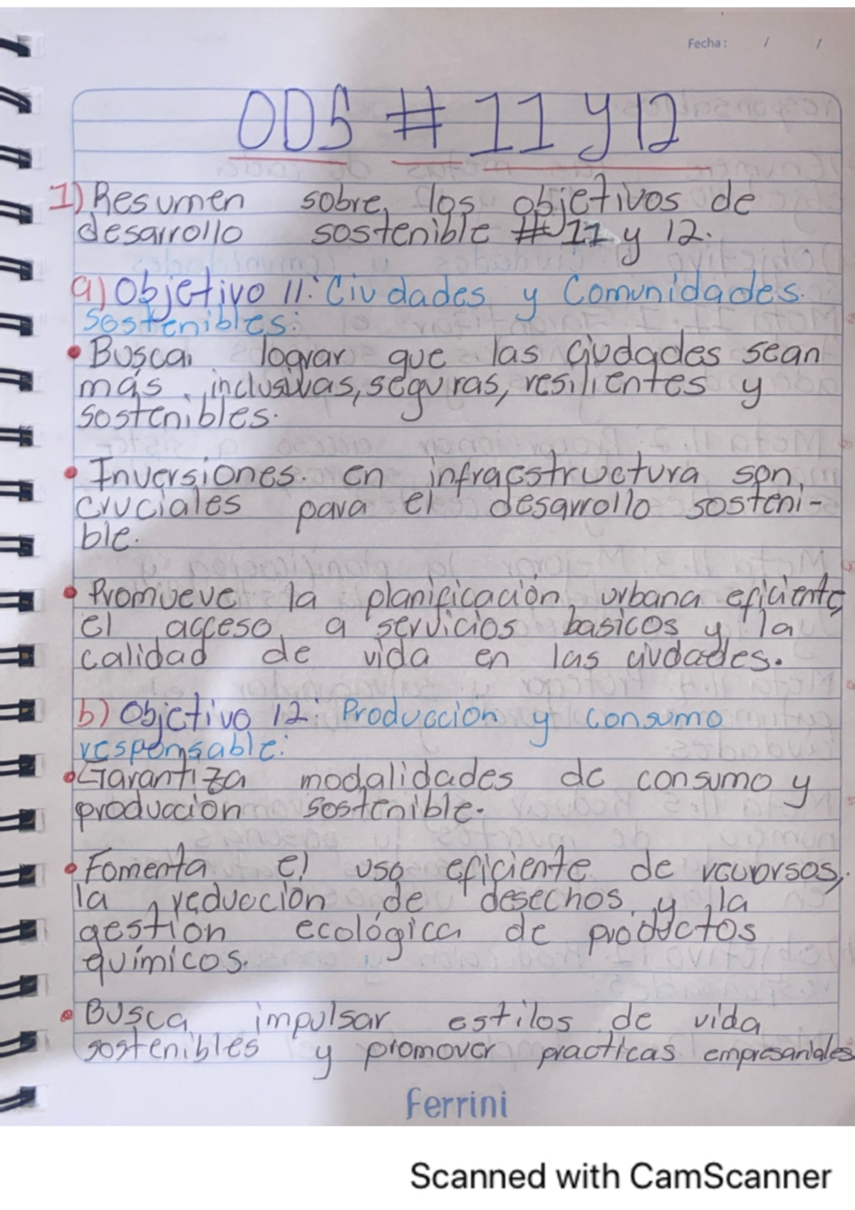 ODS 11 y 12: Resumen y Metas sobre Desarrollo Sostenible - Studocu