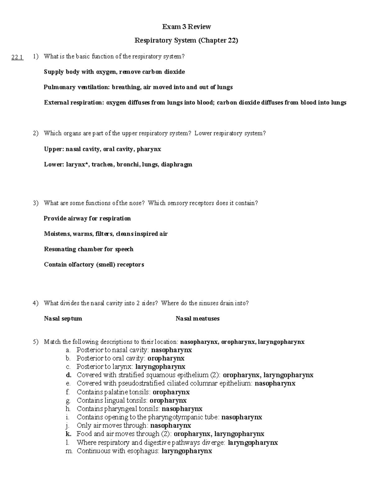 Respiratory System Overview and Exam 3 Review (BIO 101) - Exam 3 Review ...