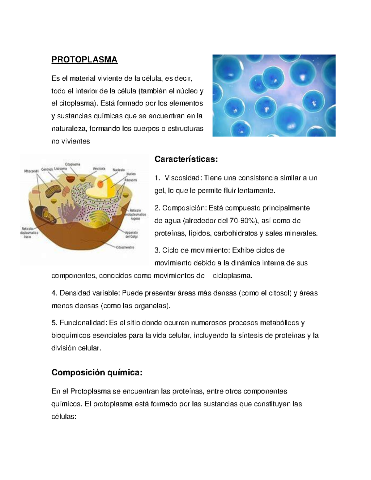 La célula: Protoplasma, Teoría y Funciones - Biología 101 - Studocu