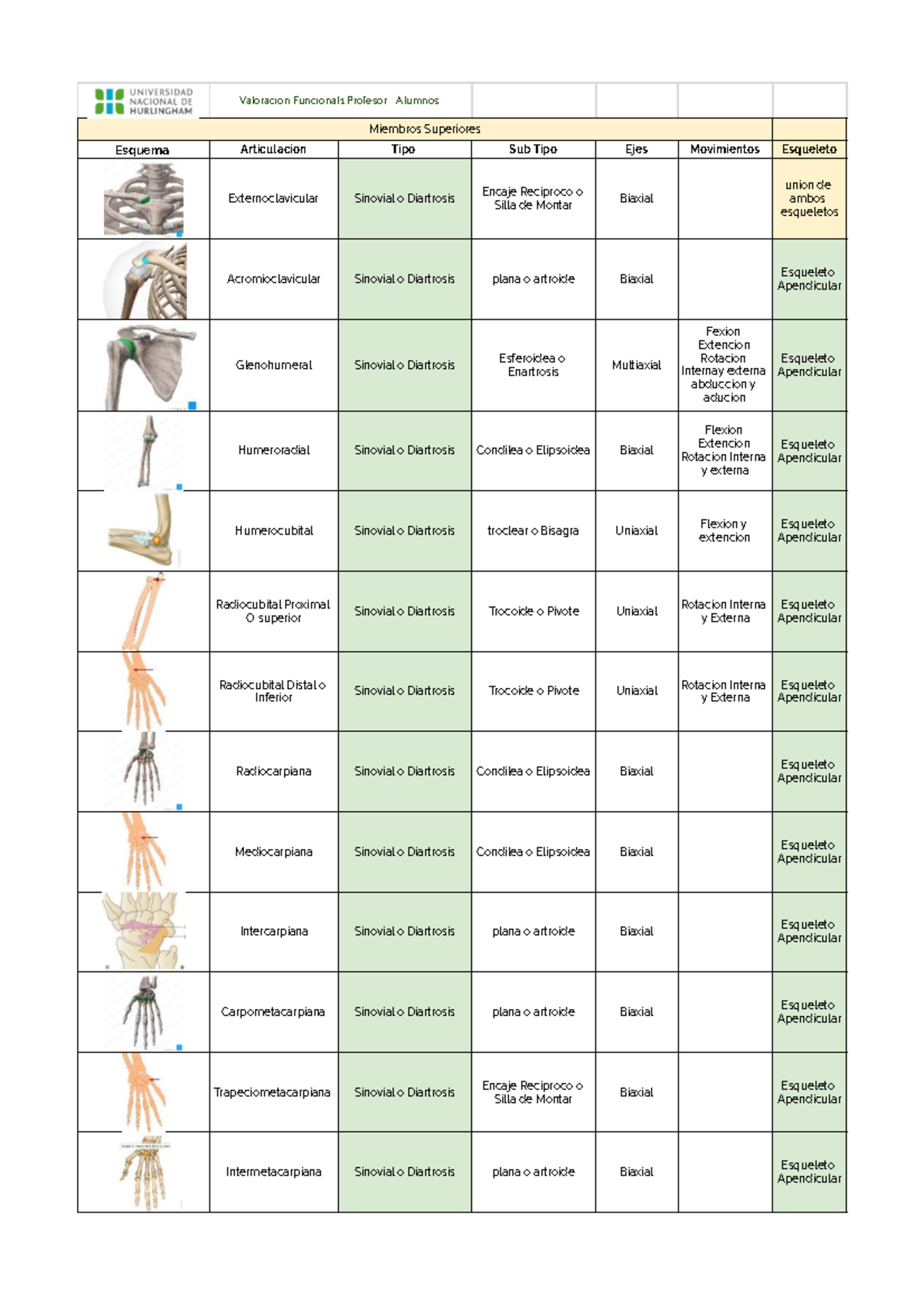 Valoración Funcional 1: Articulaciones del Cuerpo Humano - Document Preview