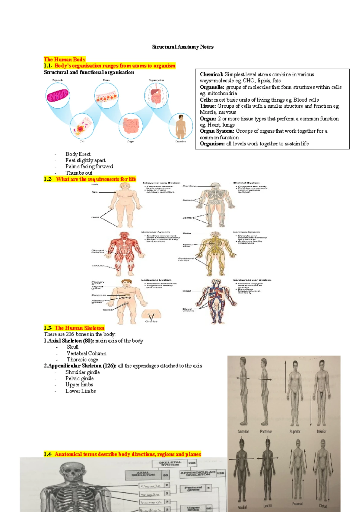 Structural Anatomy (BIO 101) - Comprehensive Lecture Notes - Studocu