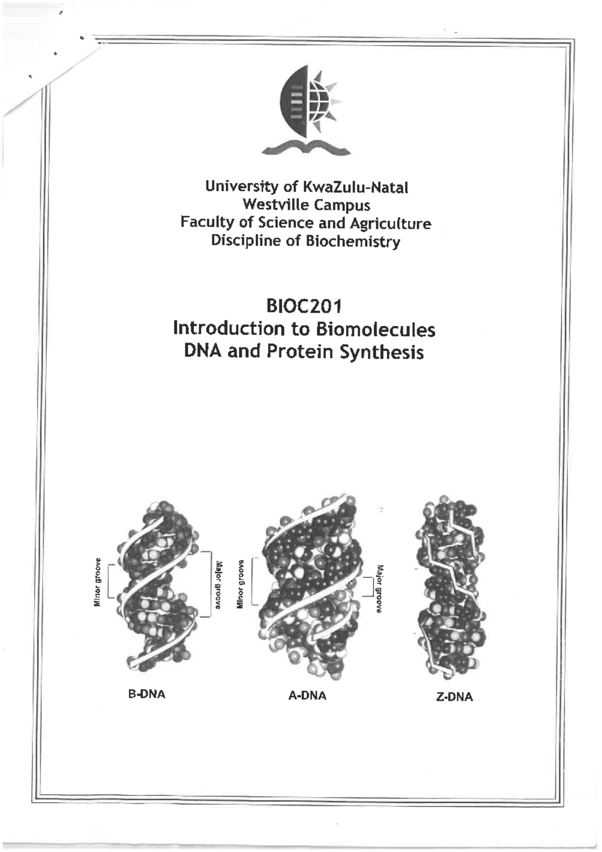 BIOC201 Lecture Notes: DNA and Protein Synthesis Overview - Studocu
