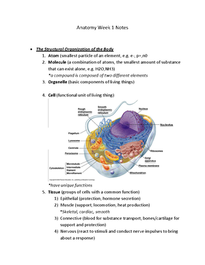 BIOL 2113 Final Exam Review - BIOL 2113 Final Exam Review Chapter 1 ...