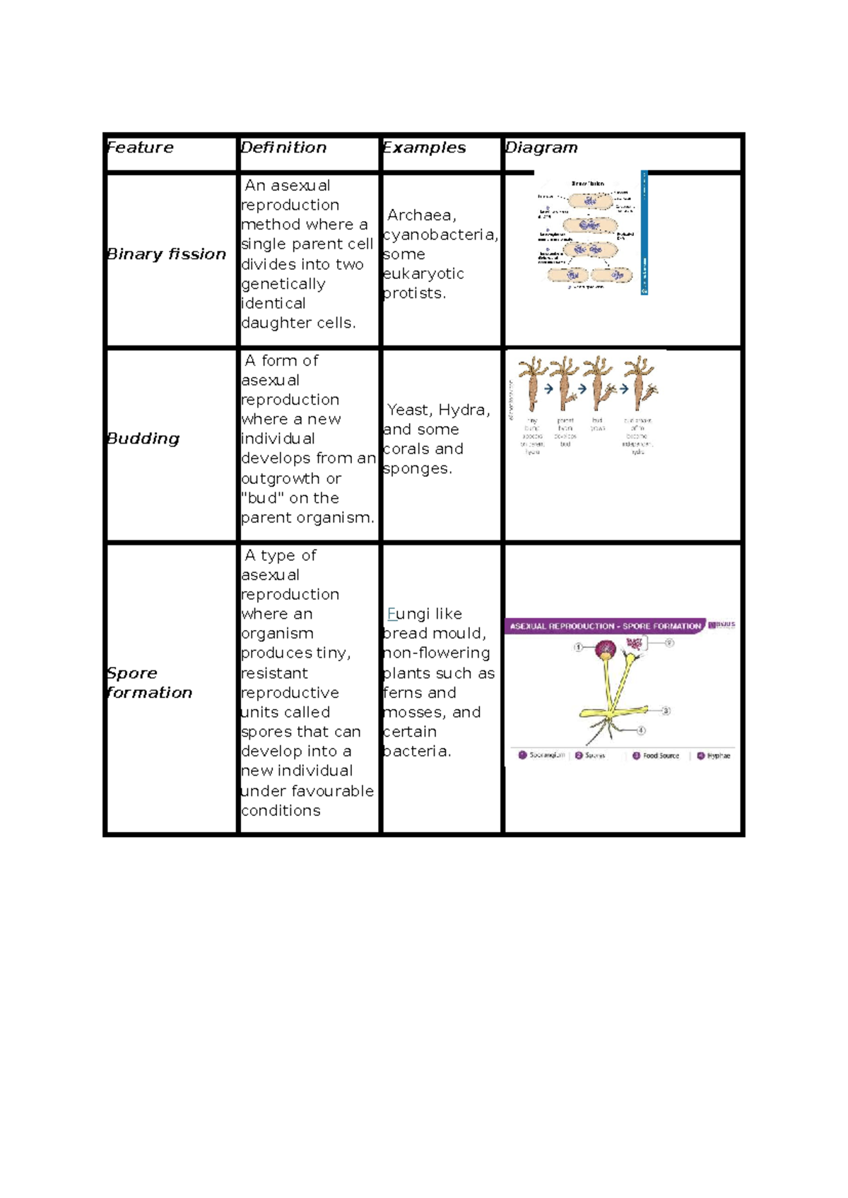 Types of Asexual Reproduction Table - Feature Definition Examples ...