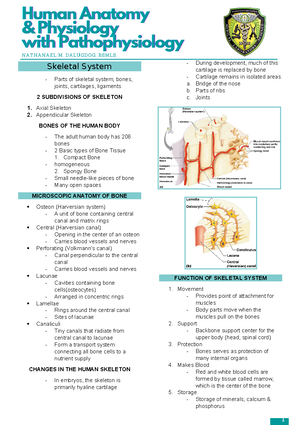ANATOMY AND PHYSIOLOGY - MODULE 1 - INTRODUCTION - Chemistry - Studocu