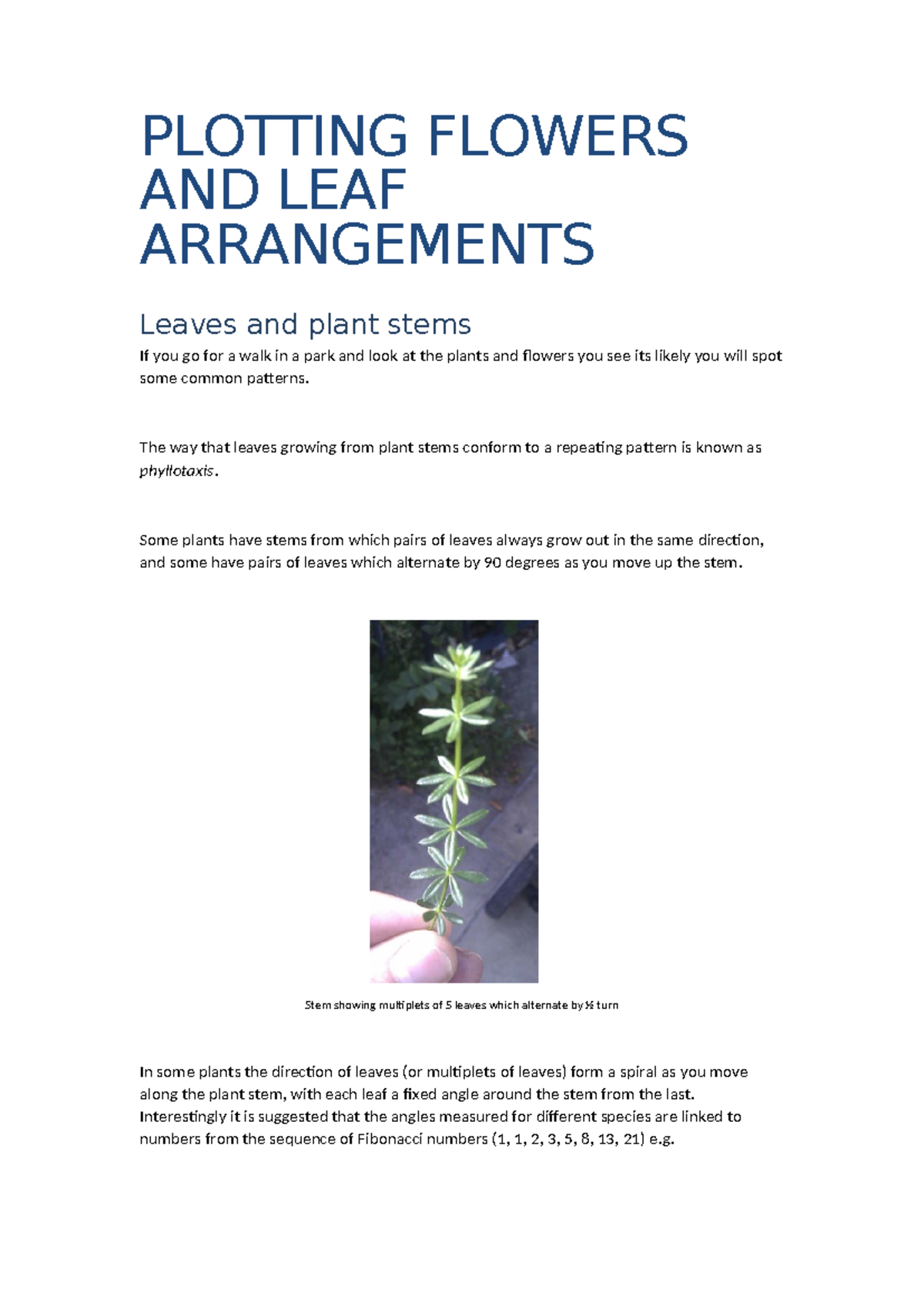 PLOTTING FLOWERS AND LEAF ARRANGEMENTS: A Study on Phyllotaxis - Studocu