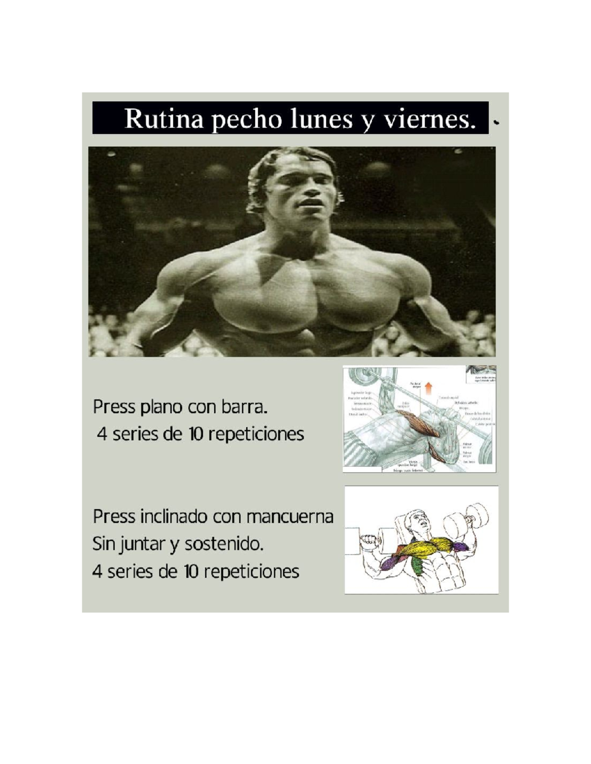 Rutina de Ejercicios de Pecho y Brazo - XKA, DCXMN - Studocu