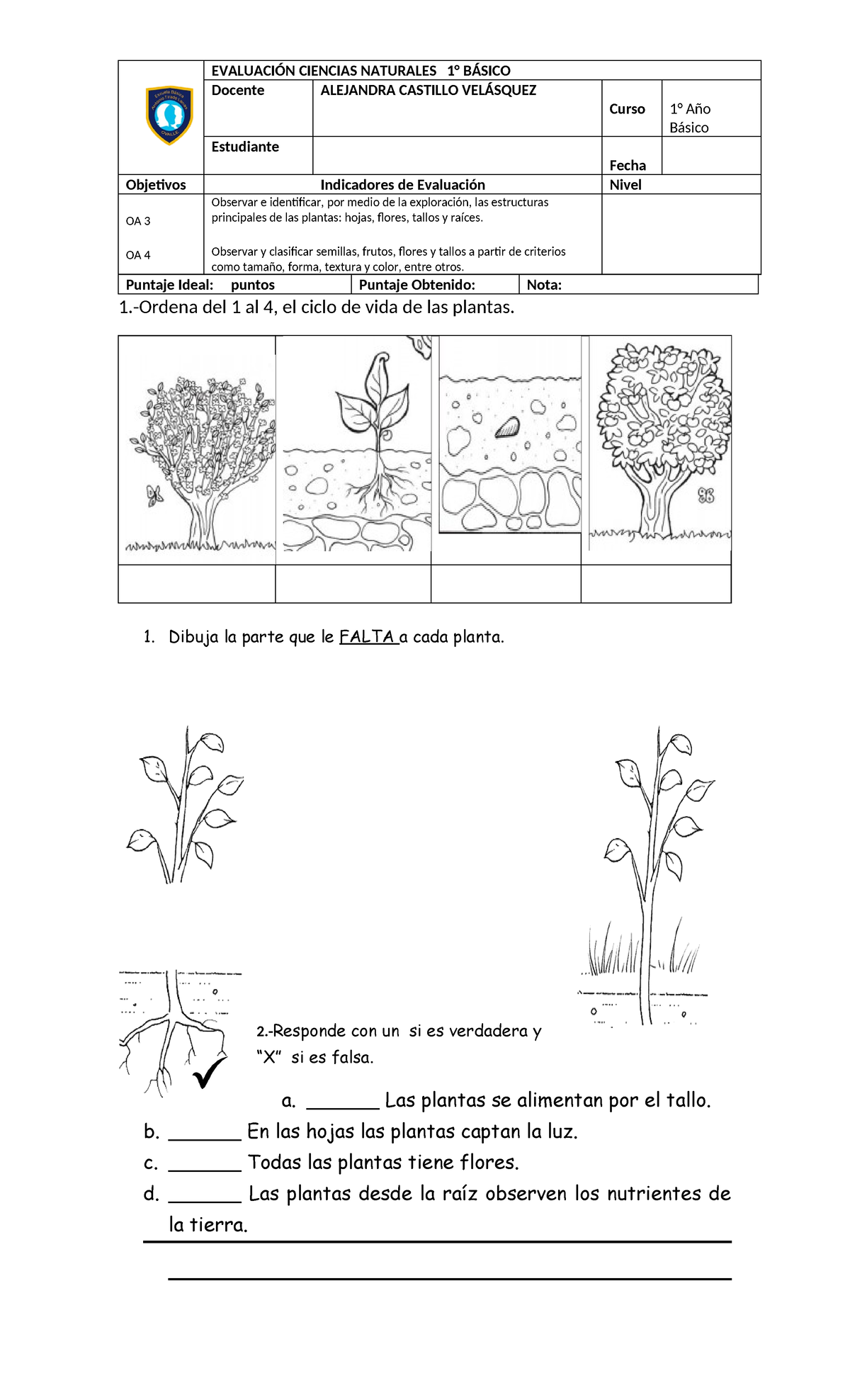Evaluación Ciencias Naturales 1° Básico - LA Planta - Document Preview