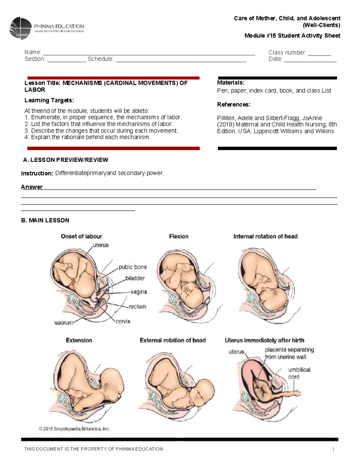 OB1-M15 - Mechanisms of Labor: Cardinal Movements Lesson Notes - Studocu