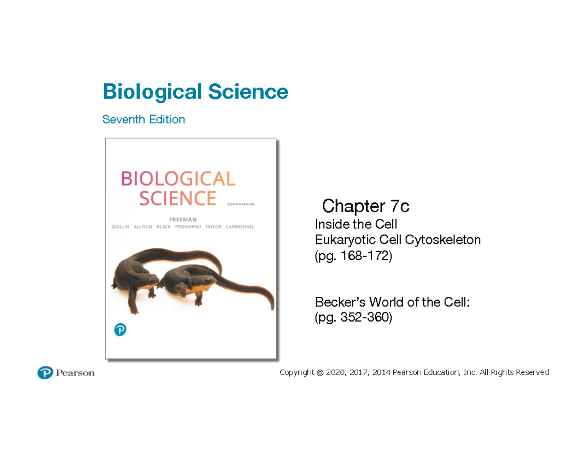 Biological Science 7th Ed: Chapter 7c - The Eukaryotic Cell ...