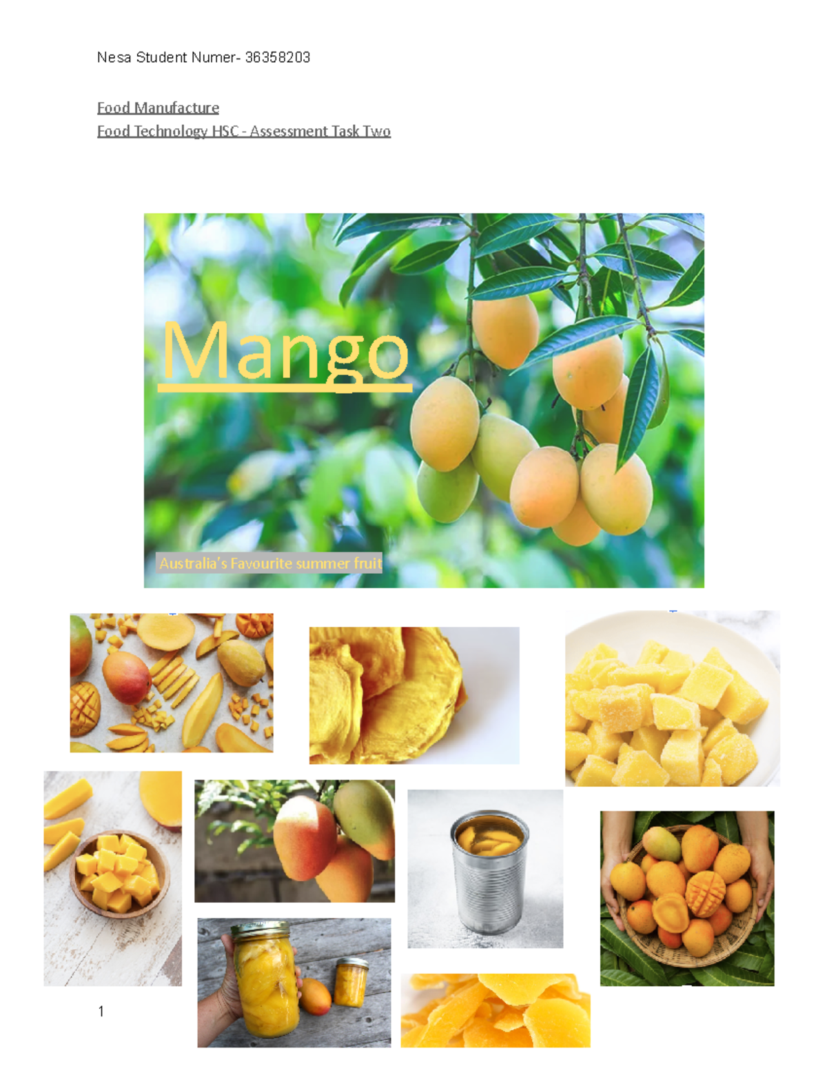 Mango Product Analysis: HSC Food Tech Assessment Task 2 - Studocu