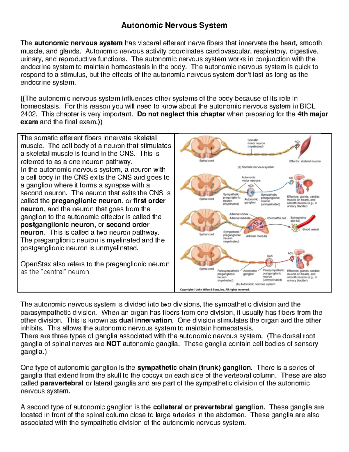 BIOL 2402: Autonomic Nervous System Overview - Studocu