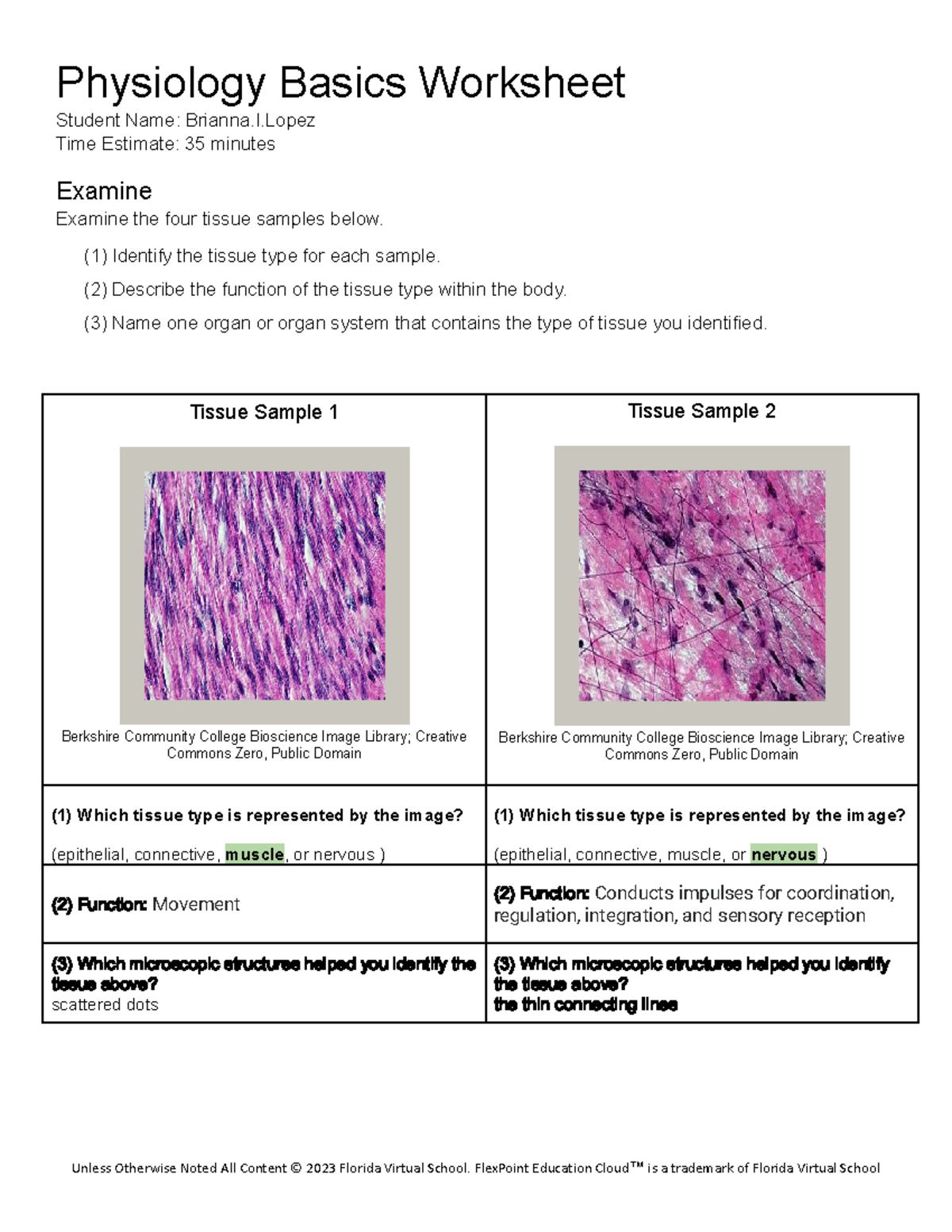 Bioscience 1.03 Worksheet: Tissue Types and Functions Analysis - Studocu