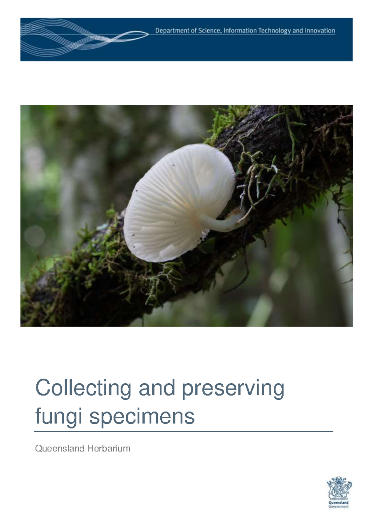 Collecting and Preserving Fungi Specimens: A Guide for QMS Members ...