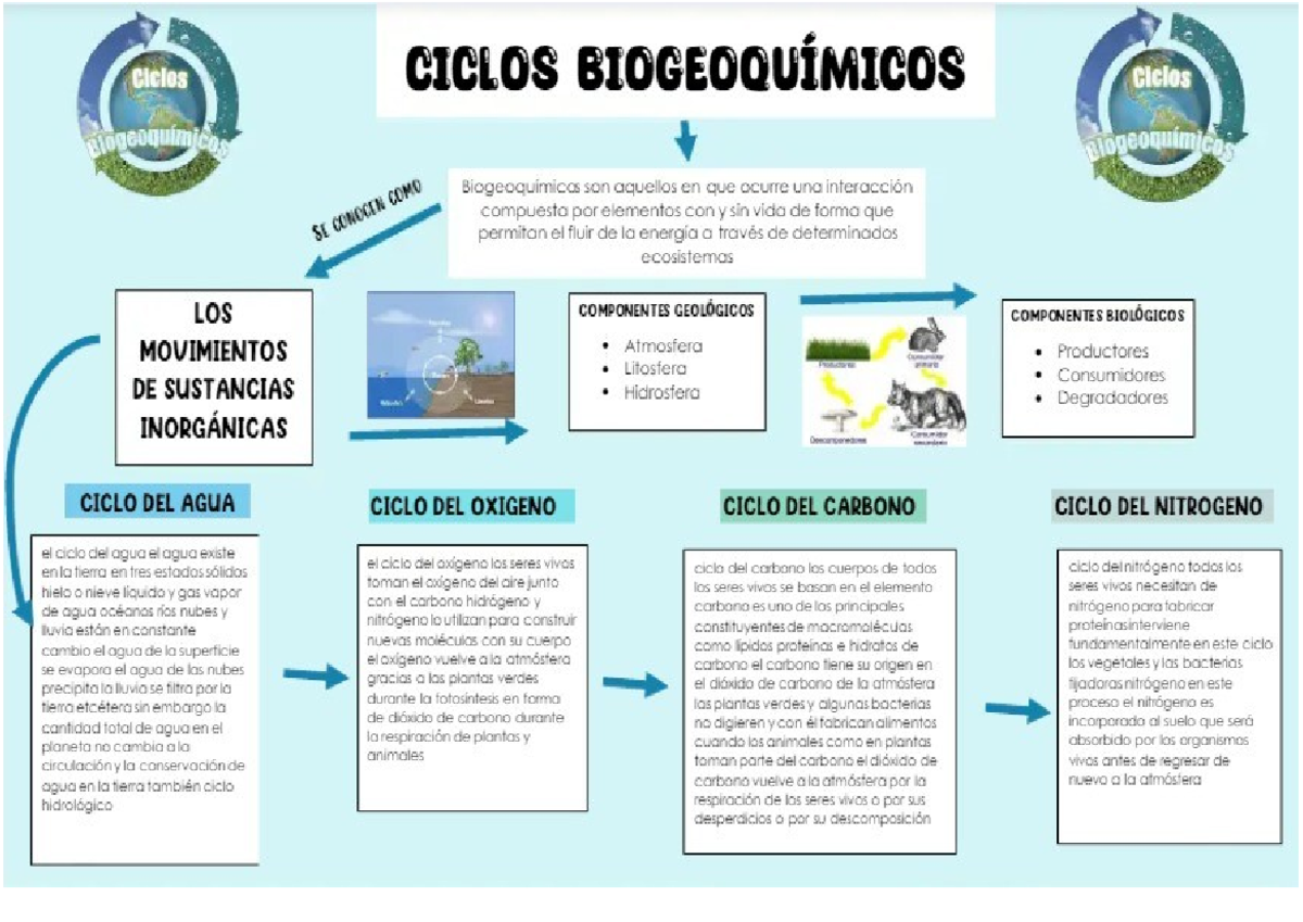 Organizador Visual de Biogeoquímica para Estudio Efectivo - Studocu