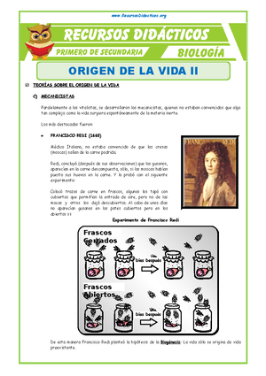 El Origen de la Vida para Primero de Secundaria - ORIGEN DE LA VIDA Una ...
